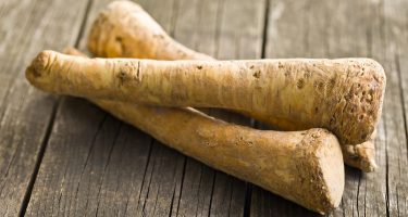 fresh horseradish root
