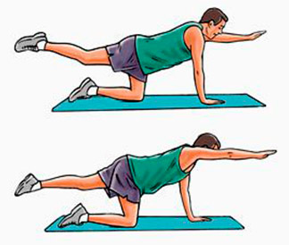 укрепление мышц нижней части спины